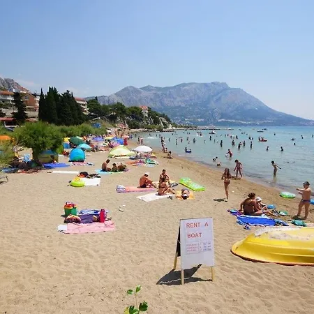 Ivan In Apartment Duce